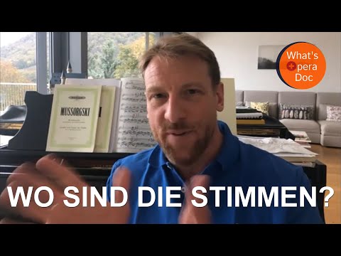 Ich bin entsetzt über die Feigheit vieler Kollegen - Günther Groissböck - What's Opera Doc