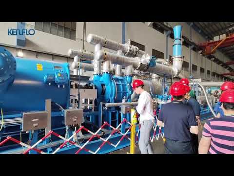 Performance witness test of Flare Gas Recovery Unit ( Liquid Ring Vacuum Compressor)