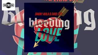 Danny Avila &amp; Ekko City - Bleeding Love