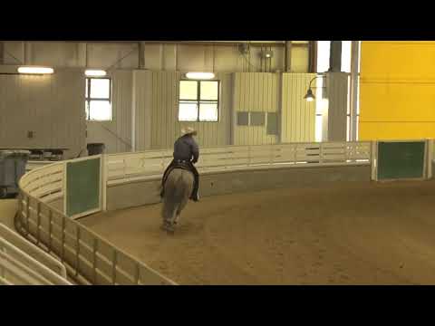 190728 Open Andre Andraos on Ms Starlight Dun It