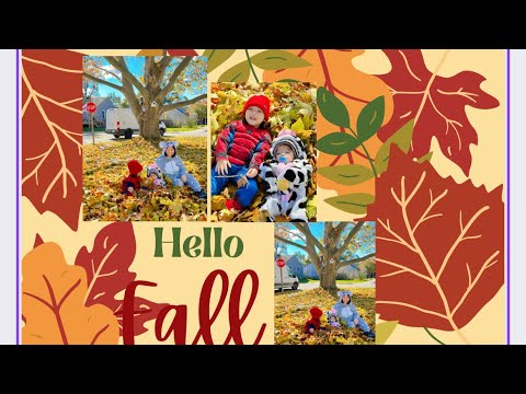 Folhas caindo do outono 🍁🍁🍁