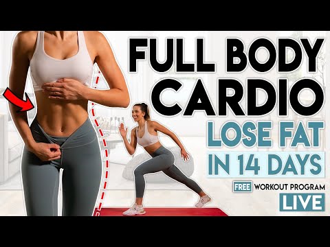 FULL BODY CARDIO 🔥 Lose Fat in 14 Days | Live Home Workout