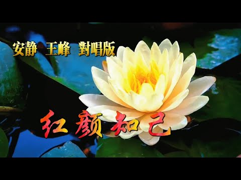 安静🈴王峰 《紅顏知己》 對唱版 就在來生的路口等妳  HD
