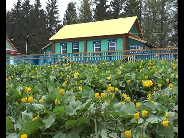 «Заречный» обновляется
