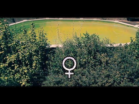 video frame placeholder