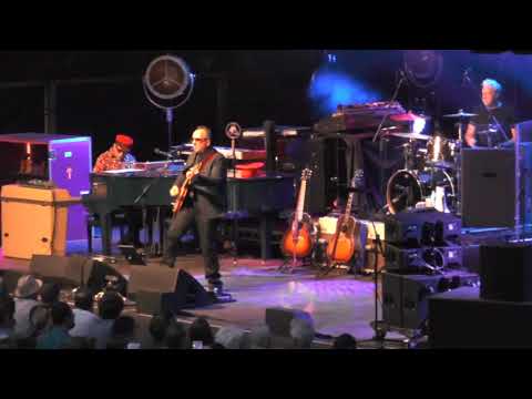 Elvis Costello (Rivierenhof Deurne 02/07/2018)