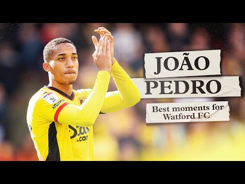 João Pedro | All Goals & Assists For Watford 💛🇧🇷