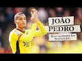 João Pedro | All Goals & Assists For Watford 💛🇧🇷