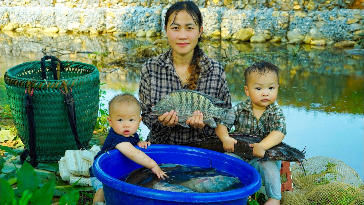 Giant Fishing in the deep jungle and survival in the Wild. Buiding New Life