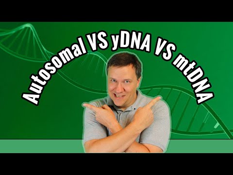 Is Autosomal, Y-DNA, or Mitochondrial DNA Tests Better? | Genetic Genealogy
