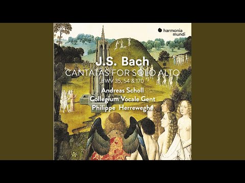 Geist und Seele wird verwirret, BWV 35: IV. Aria: "Gott hat alles wohlgemacht!"