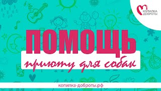 ПОМОЩЬ ПРИЮТУ ДЛЯ СОБАК