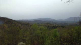 CONTACT by Falling up