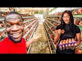How She Is Making Thousands Of Dollars From Poultry Farming In Nigeria