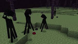 Why EnderMan Hate EnderMites and Why EnderMites Attack EnderMan
