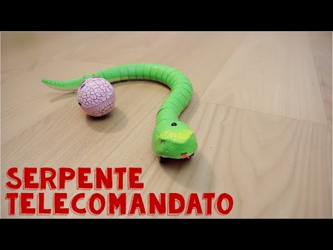 Siccome i vermi a bambini sono rapidamente eliminati Che trattare ratti parassiti