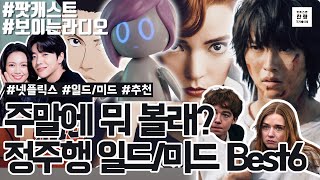 [풀버전] 주말 넷플릭스 정주행 일드&미드 추천 Best6!!