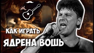 Как играть на гитаре, разбор песни "Ядрена вошь" группы Сектор Газа (Юра Хой)
Аккорды, гитарный бой, текст.
Выпуск №22
Играй, как Бенедикт! Уроки гитары. Разбор песен. Новые видео каждую неделю!

группа в ВК