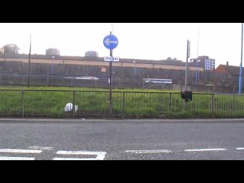 Man on the Street: this is not BLAZE the streetdance sensation!