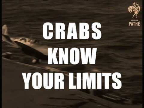 RAF public information broadcast. Taranto night