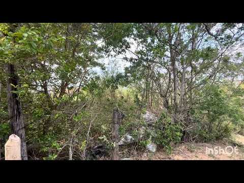 Imagen de Venta de Lotes y Terrenos en Ciudad colón - Mora Ciudad Colón - SAN JOSÉ