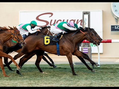 Matriarch Stakes (G1) 2020