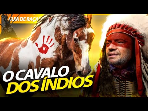 , title : 'PAINT HORSE, O VERDADEIRO CAVALO DOS ÍNDIOS APACHE! | RICHARD RASMUSSEN'