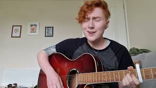 fake palindromes (Andrew Bird cover)