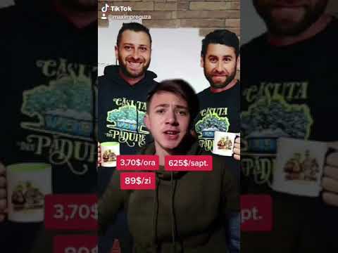 Câti bani fac Tiberiu si Cornel ?