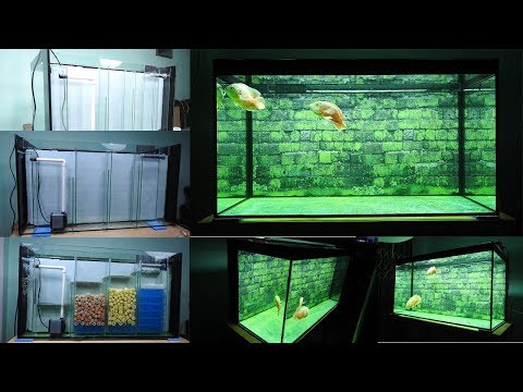 Aquarium model 11 - Aquarium tank with Filter behind background