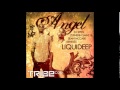 Liquideep Angel Dj Spen Mix Short Edit