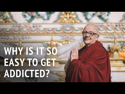 Why Is It So Easy to Get Addicted? | Dr Chönyi Taylor