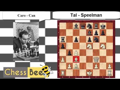 20  Tal Vs Speelman
