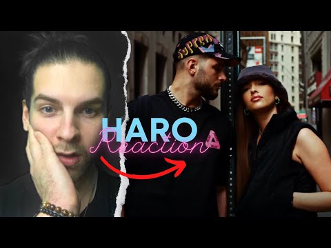 DARDAN x HAVA - DAY & NIGHT | Haro reagiert