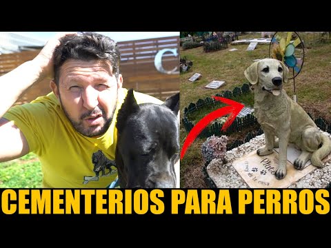 Así son los CEMENTERIOS de los PERROS ¿Cuanto DINERO cuesta INCINERAR?