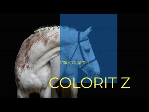 Colorit Z