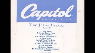 07 •  The Jesus Lizard - And Then The Rain  (Demo Length Version)