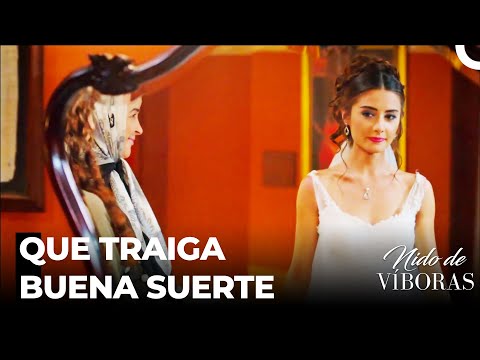 Elvan Se Convirtió En Nuera - Nido De Víboras Capitulo 35 (Dobladas en Español)