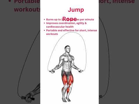 our professional trainer-led Weight Loss Programme