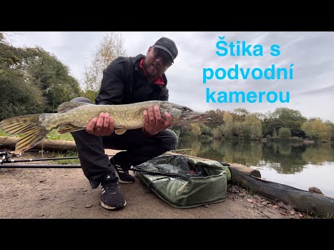 BRUTÁLNÍ ÚTOK ŠTIKY S PODVODNÍ KAMEROU!!! #underwater | 🐋🎣