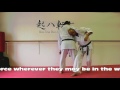 Hangetsu Bunkai Strategies 2017 Week 27 Koryu Karate Oyo Jutsu