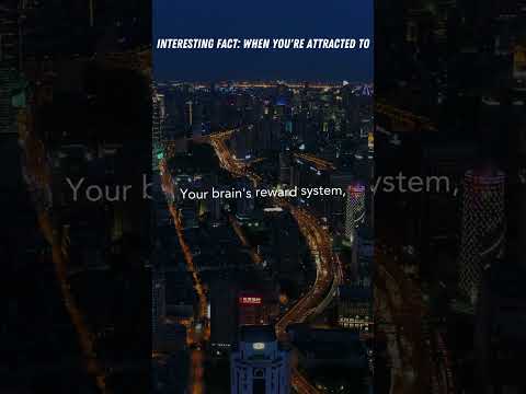 The Fascinating Science of Attraction: What Happens in Your Brain