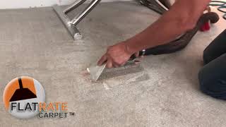 Remove vomit smell from the carpet and get the vomit spot out | Flat Rate Carpet