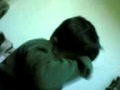 Qader2 3gp