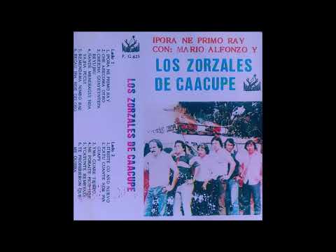 Mario Alfonzo y Los Zorzales de Caacupé - Ipora Ne Primo Ra y [Pajaro Campana]