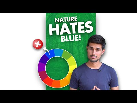 Why Nature Hates Blue Color?