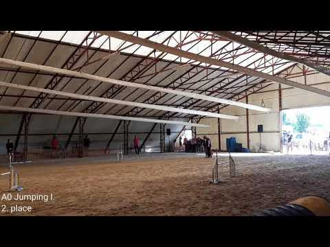 Kraft Agility Vizsga - Daeron