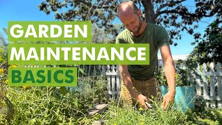 Free Seed Project: Garden Maintenance Basics (Part 8)