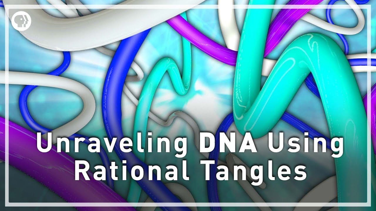 Unraveling DNA with Rational Tangles | Infinite Series