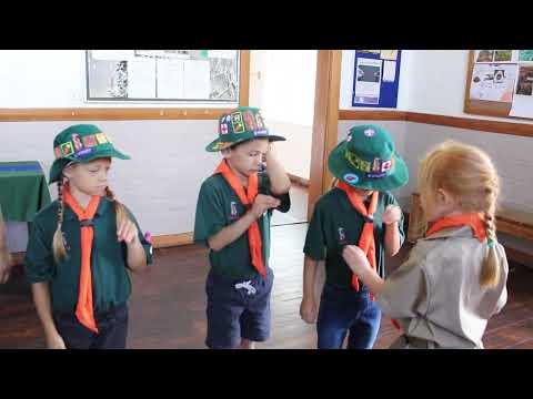 Meerkats Burrowing Up Ceremony - Setswana